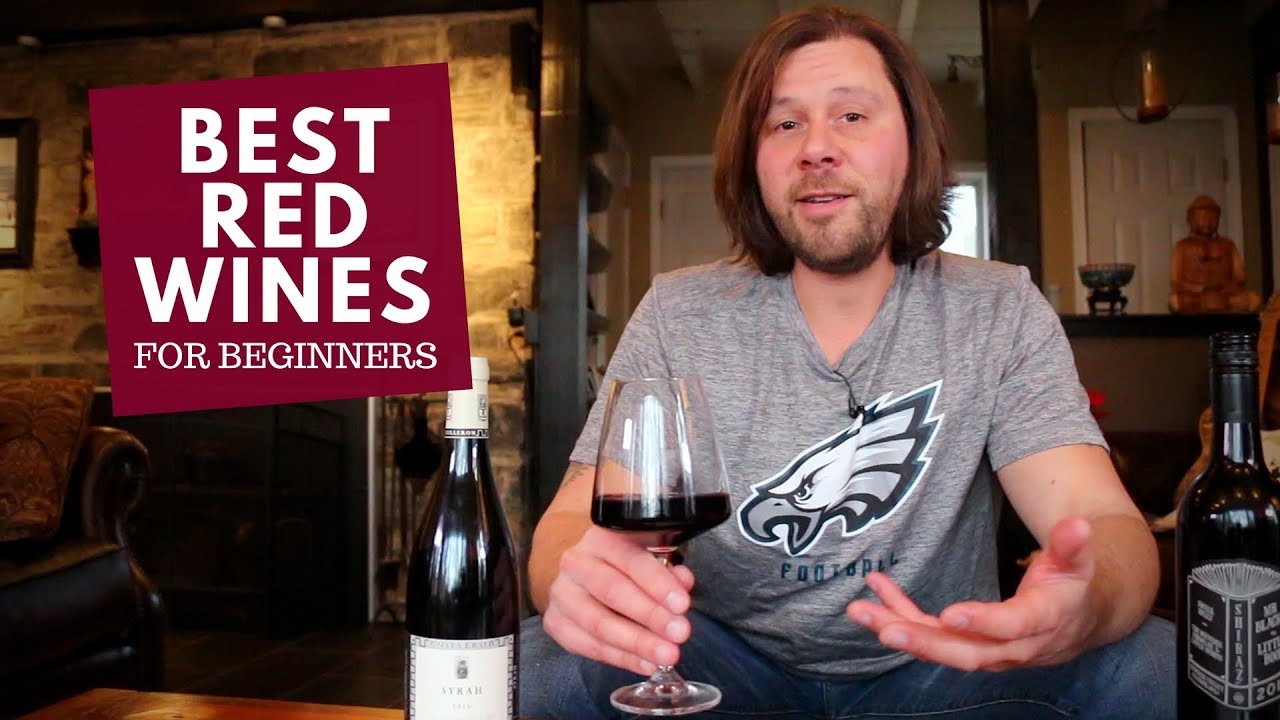 The Best Red Wines for Beginners (Series): #5 Syrah & Shiraz