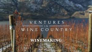 Ventures in Wine Country