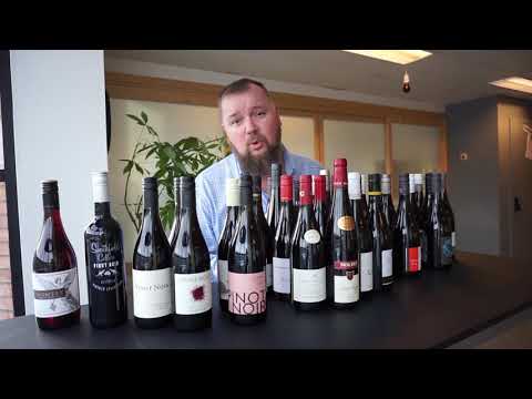 Testing 30+ Pinot Noir Wines Under 20 Bucks
