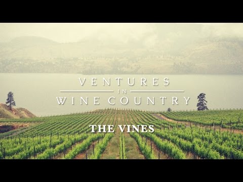 Ventures in Wine Country | Episode 1: The Vines